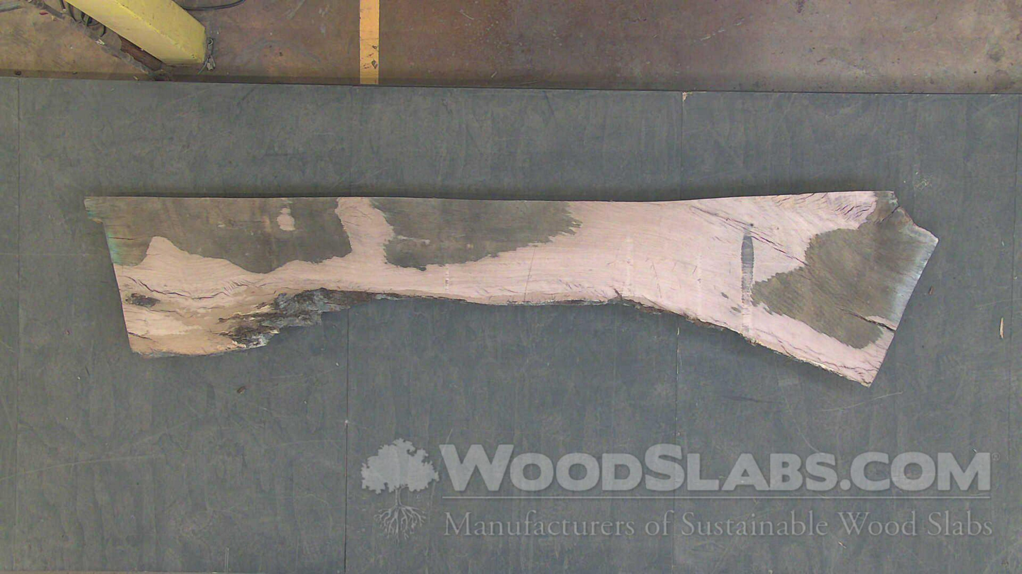  Live Oak Wood Slab #Z0D-OBL-LUFG