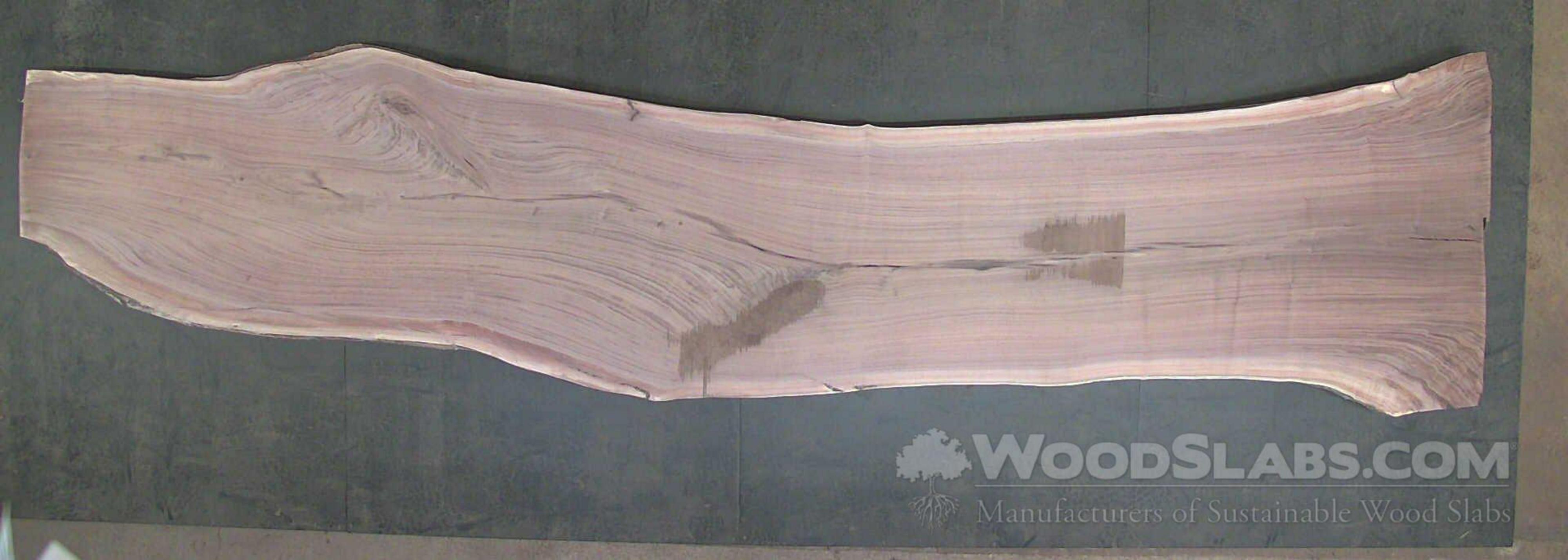 Woodslabs Com Black Walnut