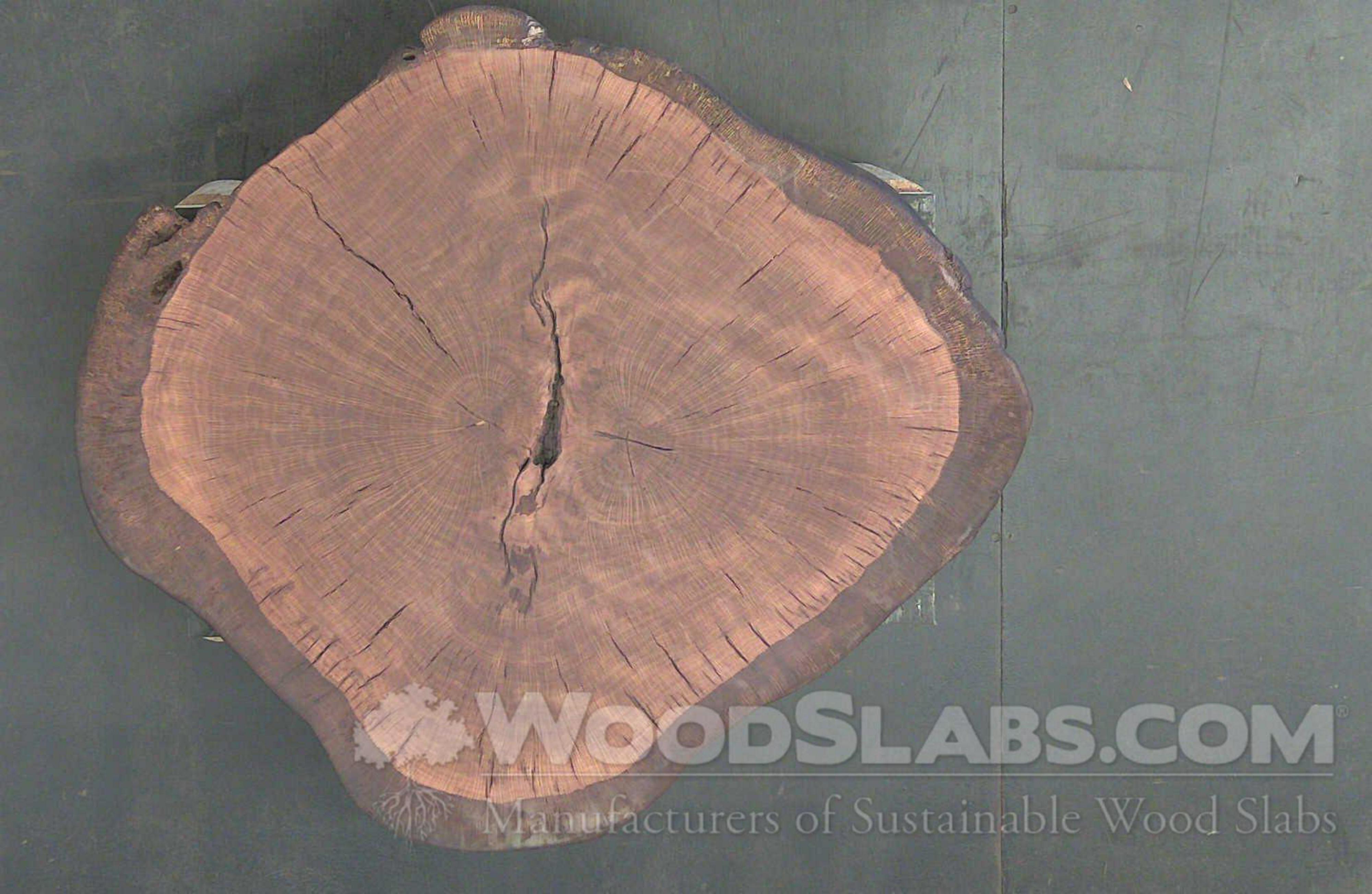 Live Oak Wood Slabs