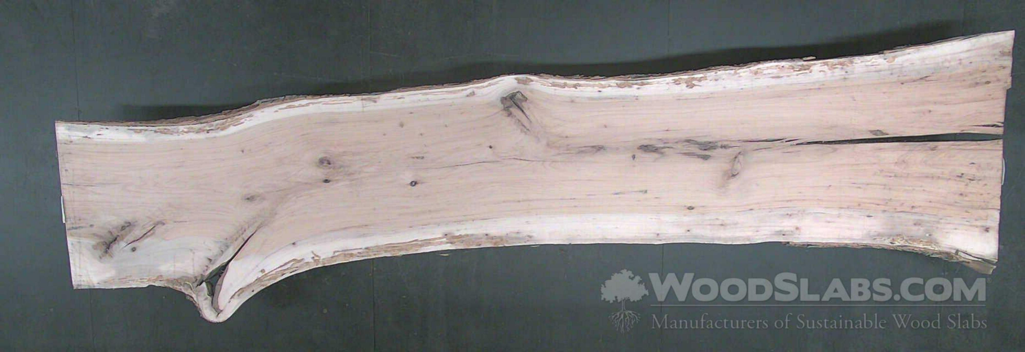 Pecan Wood For Sale Uk at Harold Peacock blog