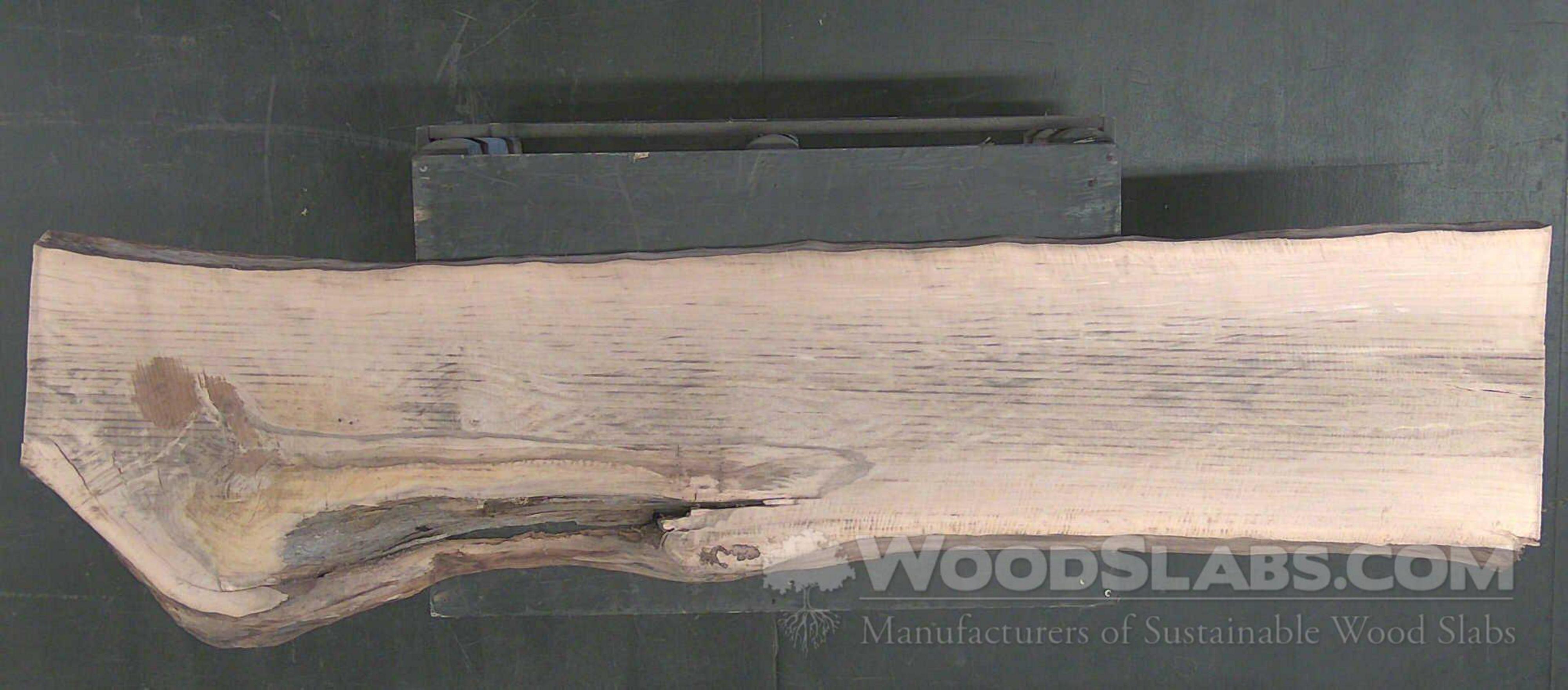 Woodslabs Com Sycamore Wood Slab Mpa 010 Ybbh Woodslabs Com Sycamore Wood Slab Mpa 010 Ybbh