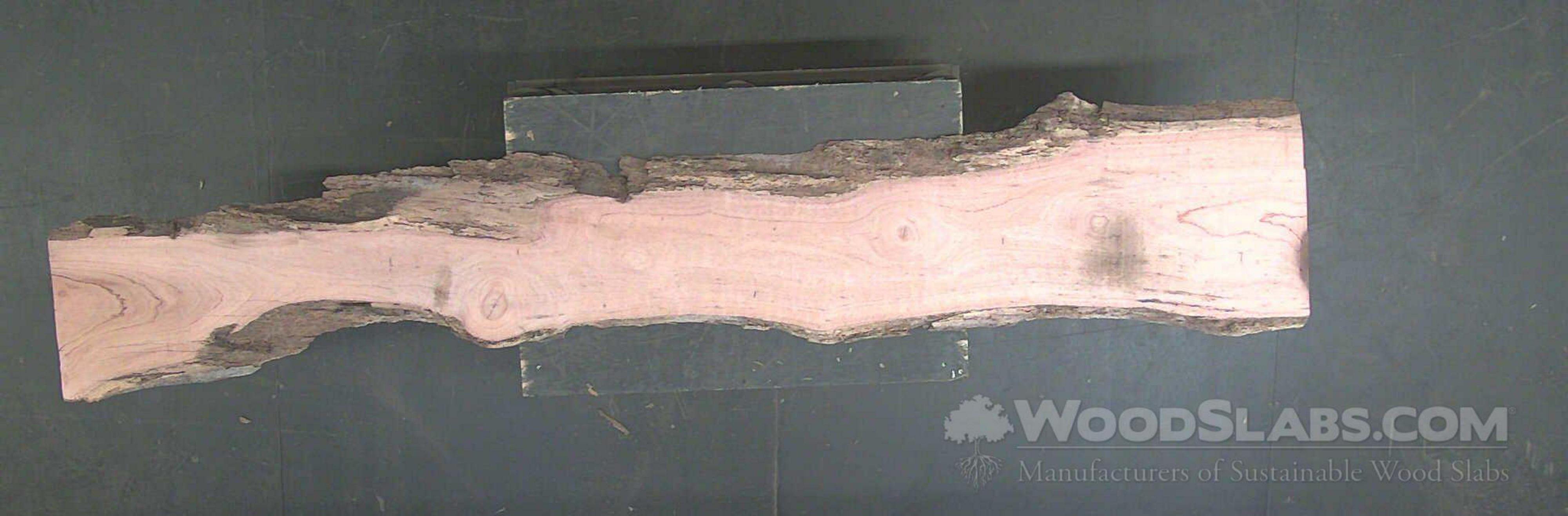 Australian Lacewood