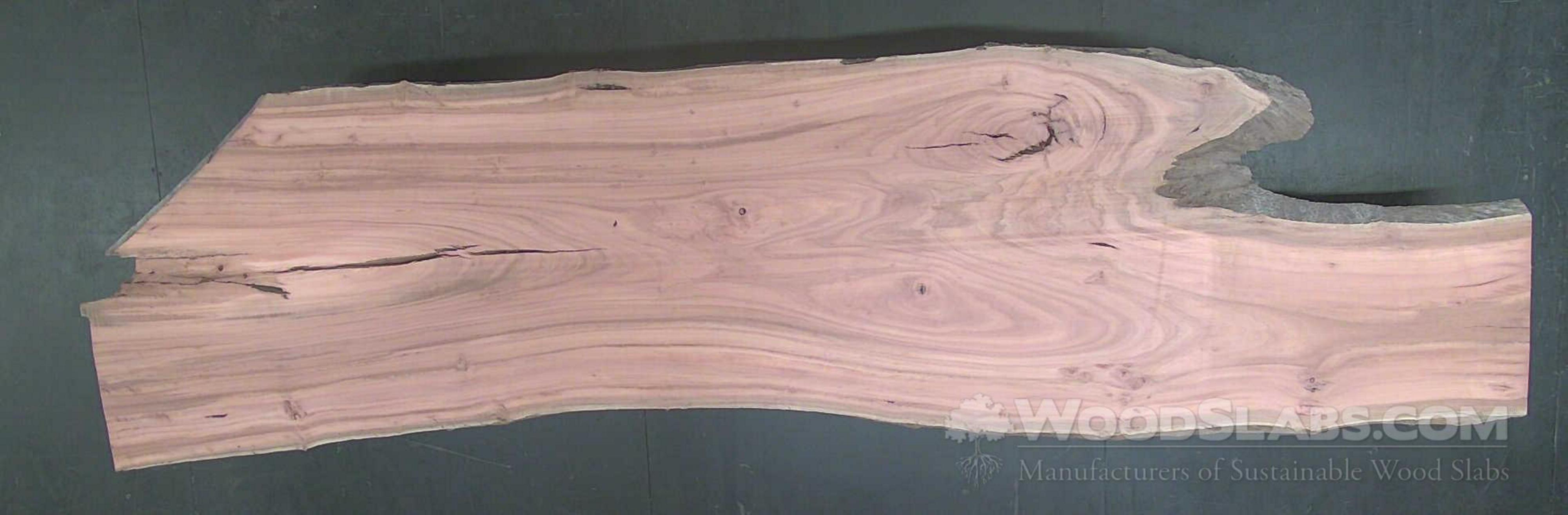 Eucalyptus Wood Slabs