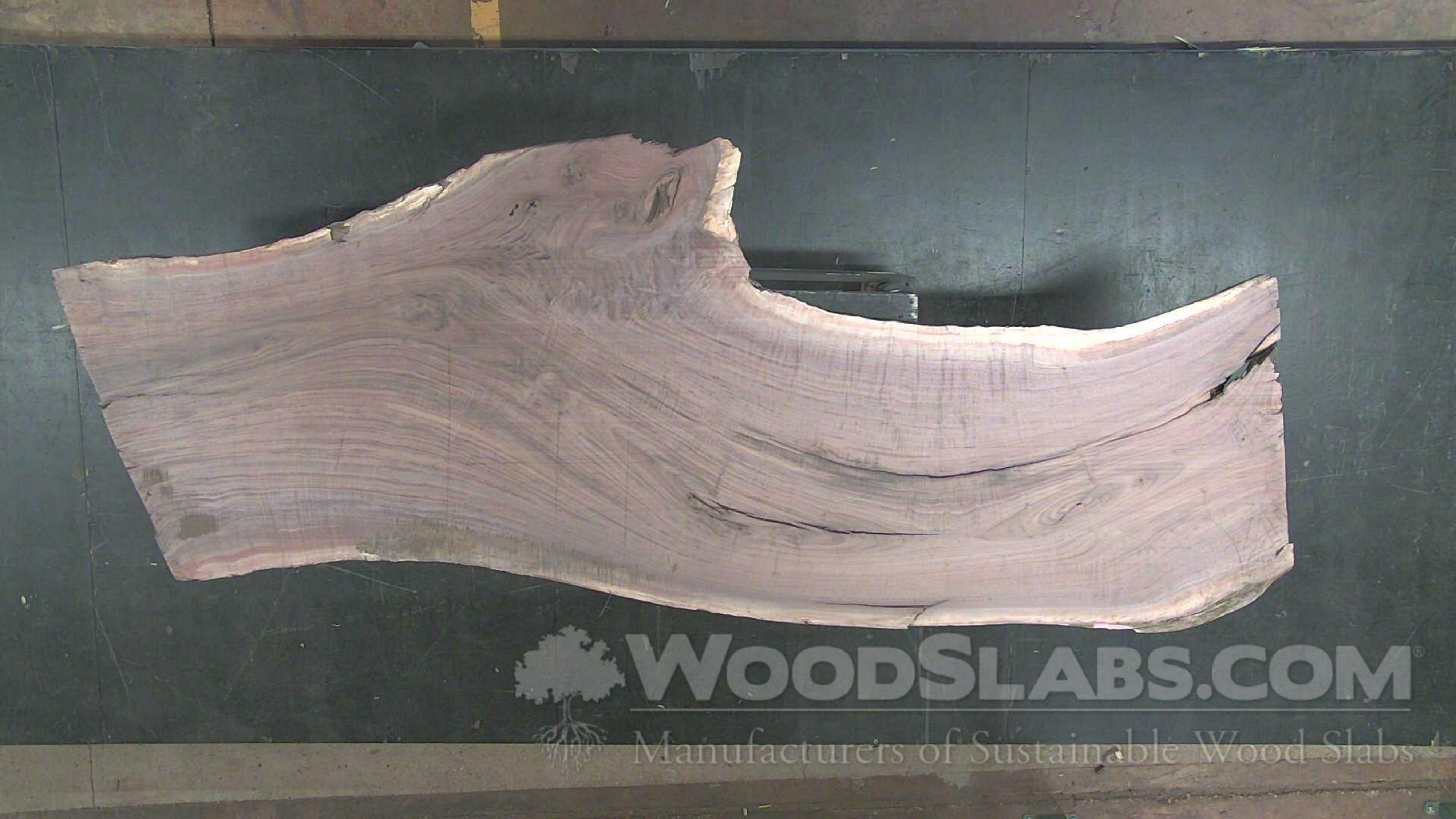 Black Walnut Natural Edge Slab #1-26-23-02 - Wood From The Hood