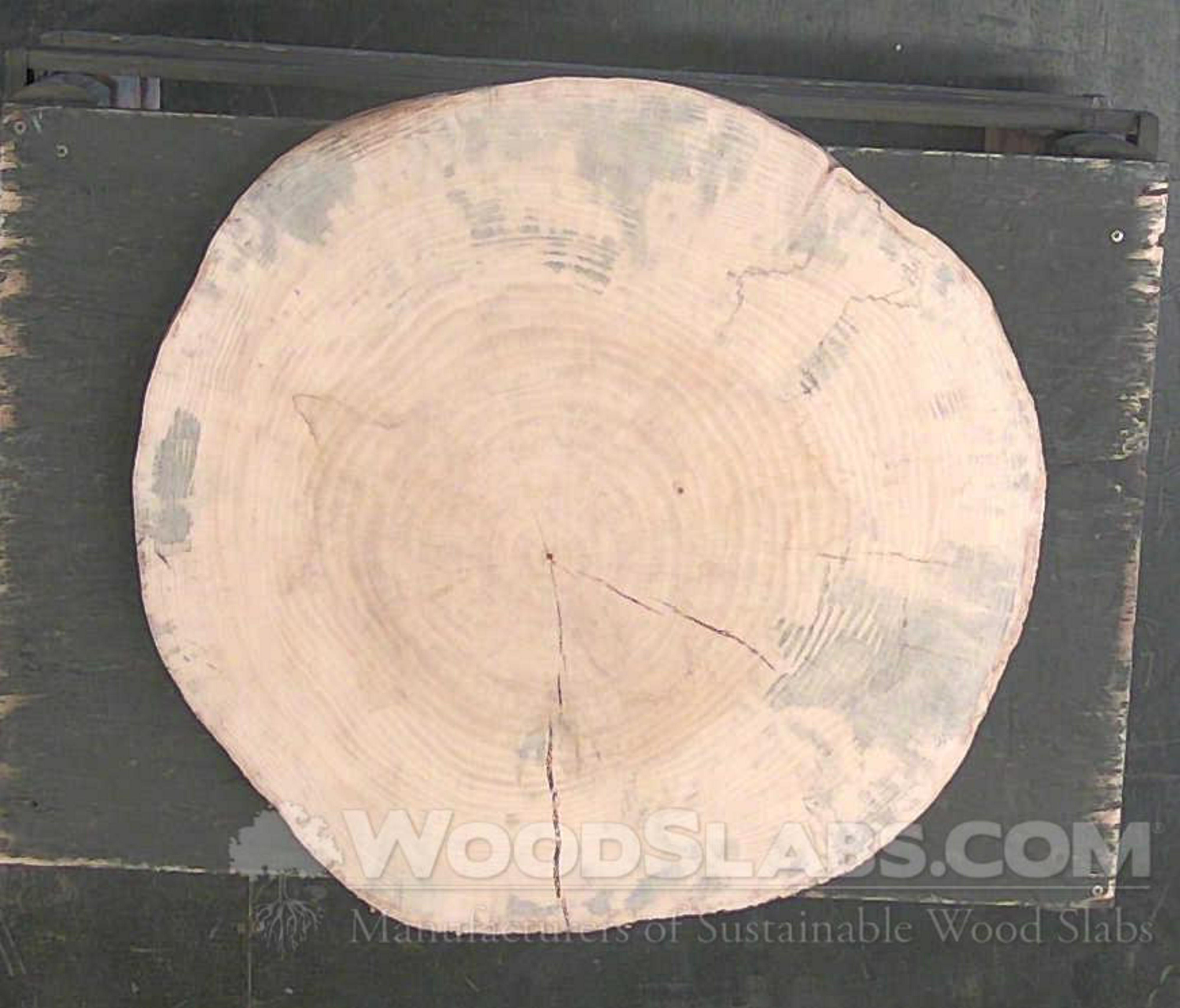 WoodSlabs.com - 25
