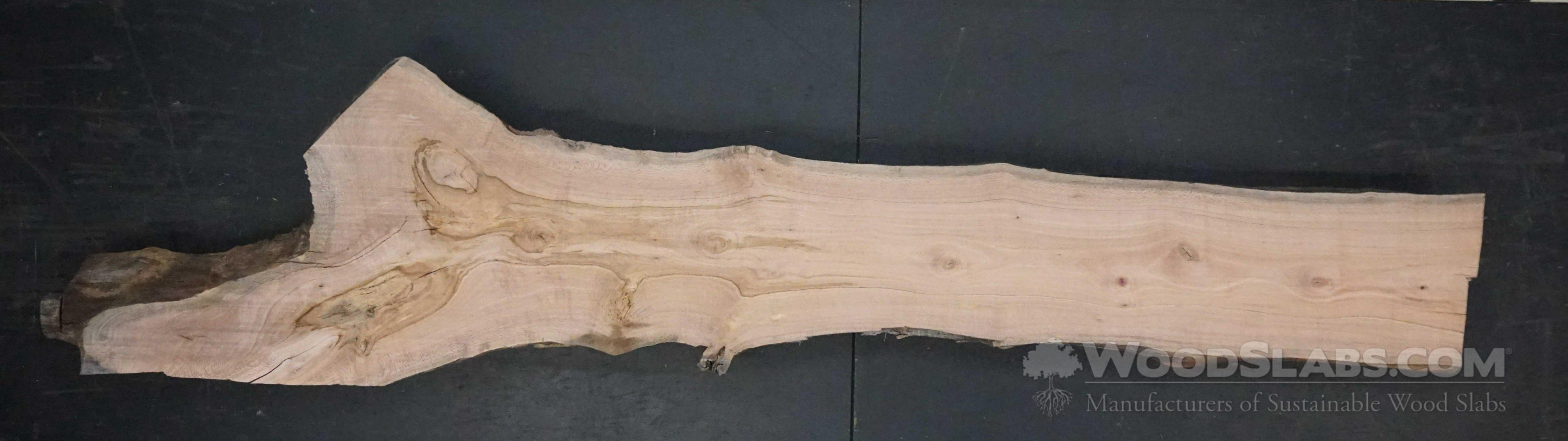 Australian Lacewood