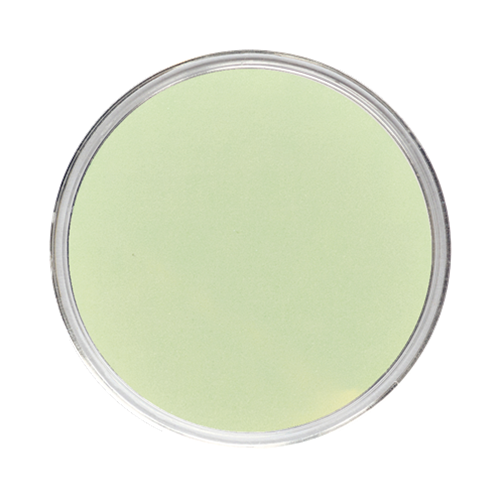 WiseGlow "Lime Light" Glow In The Dark Epoxy Colorant Powder