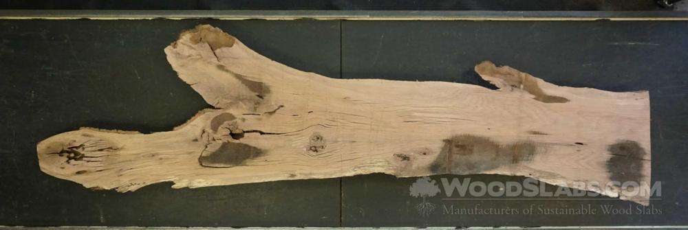 Laurel Oak Wood Slab #N7C-E2H-QXPW