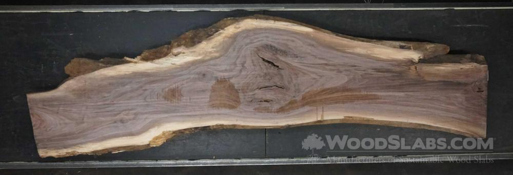Walnut Wood Slab #AA4-0K0-HWW0