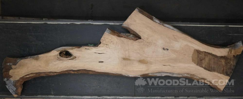 Live Oak Wood Slab #15K-S4O-JFM3