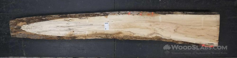 Pecan Wood Slab #C0L-U05-10YO