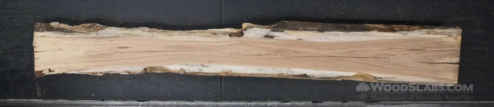 Pecan Wood Slab #9T1-OBZ-KB7Y