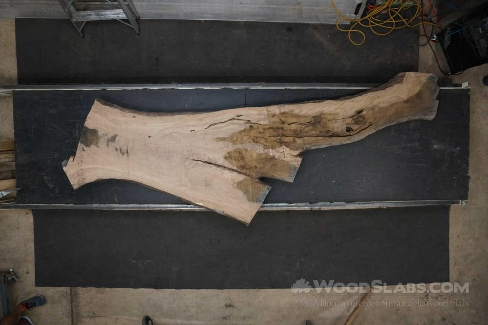 Live Oak Wood Slab #D1O-7QY-HNPC