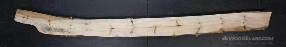 Norfolk Island Pine Wood Slab #Q58-0IZ-3ME2