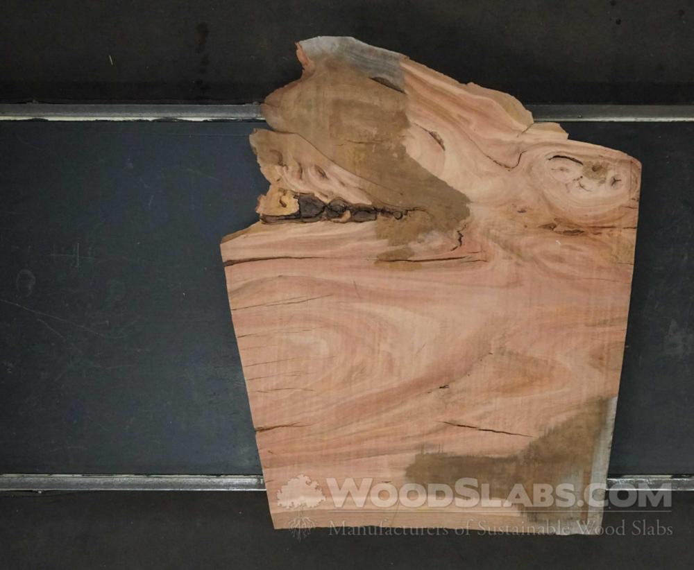 Eucalyptus Wood Slab #027-23B-6MXM
