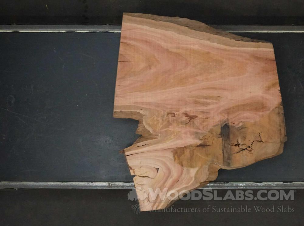 Eucalyptus Wood Slab #KN7-4RQ-KI8N