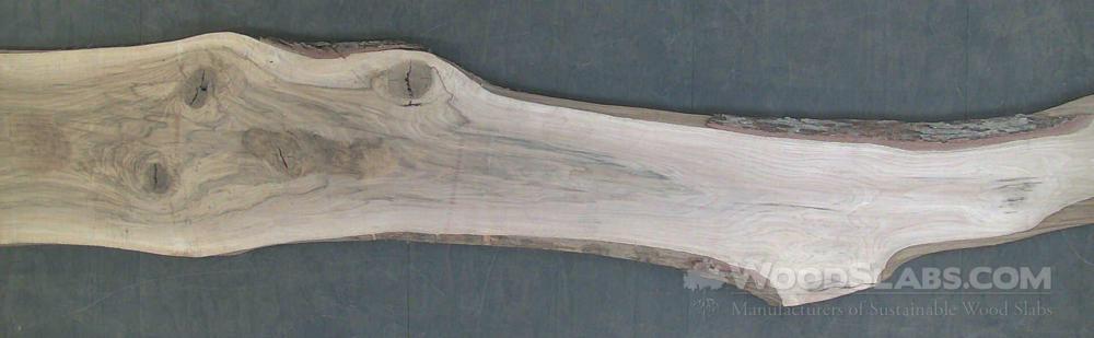 White Oak Wood Slab #68Y-QCZ-PC5X