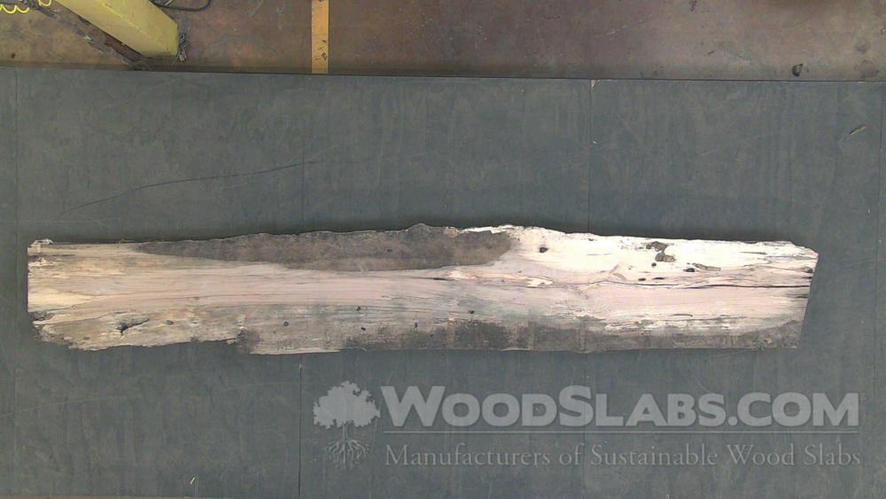 Laurel Oak Wood Slab #KNO-67F-7XM5