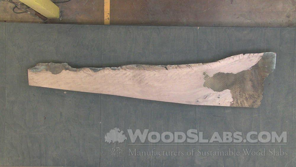 Live Oak Wood Slab #1Y9-LV2-LA0R