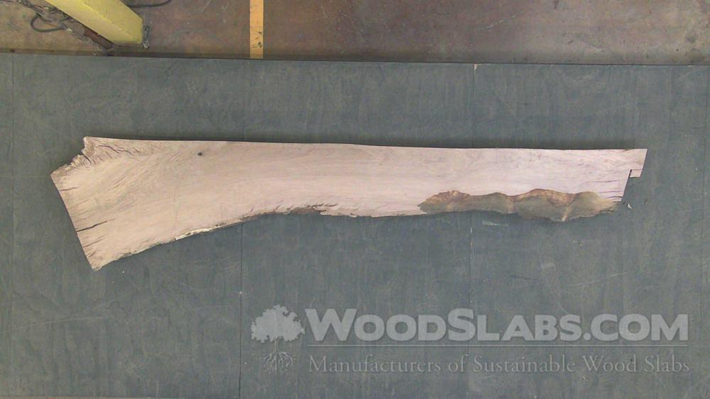 Live Oak Wood Slab #NUT-V3A-O6DE