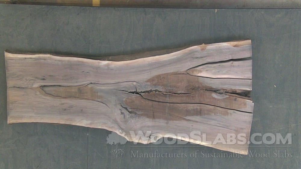 Walnut Wood Slab #TUB-HAZ-AGT3