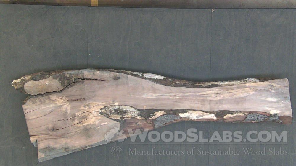 Sweet Gum Wood Slab #WAF-UEB-2UB0