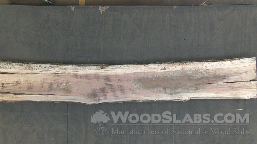 Pecan Wood Slab #M0U-ONF-EWQE