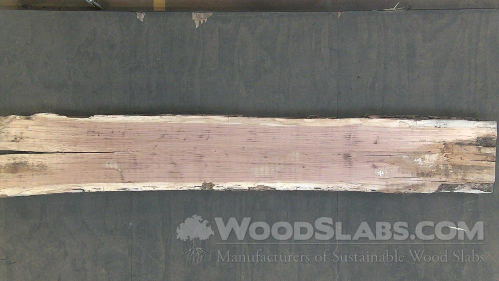 Pecan Wood Slab #N0D-M32-FHK1