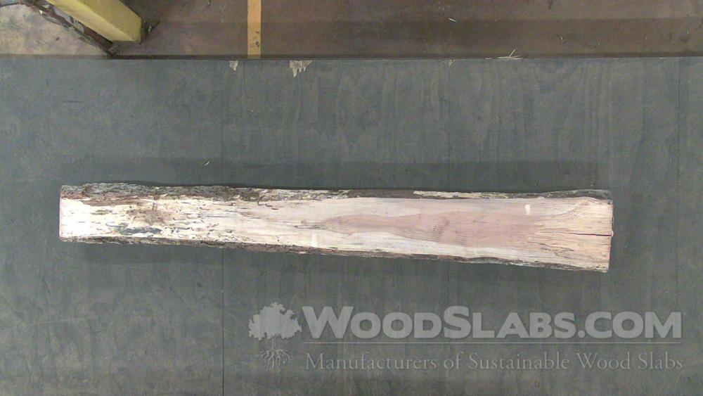 Pecan Wood Slab #B7N-IPA-DWJW