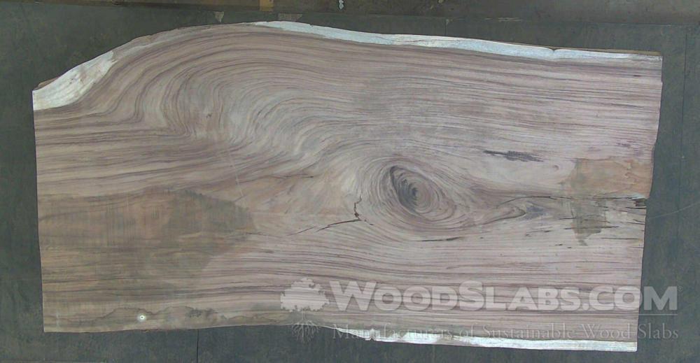 Parota Wood Slab #CS8-XBI-5WG1