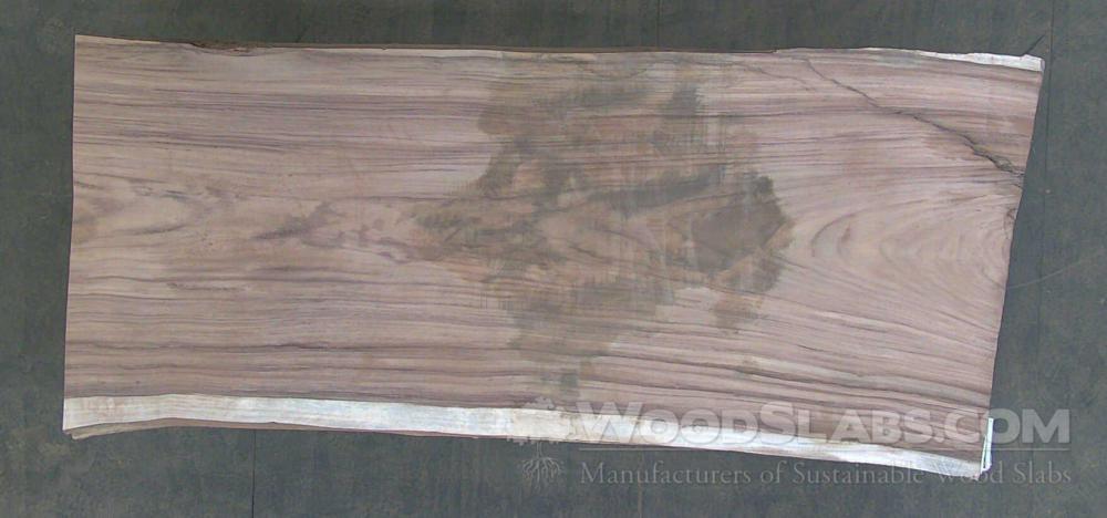 Parota Wood Slab #GAI-A28-NAHV