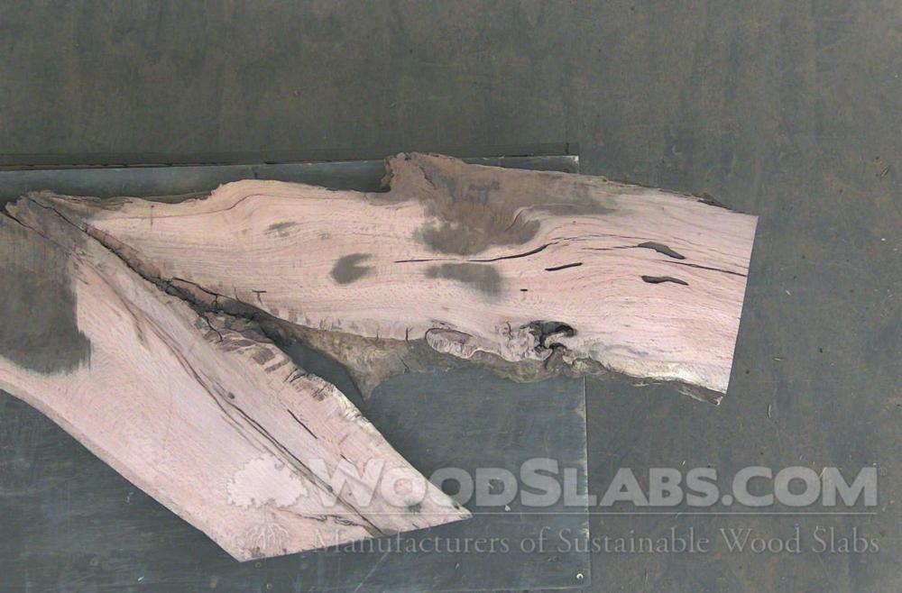 Laurel Oak Wood Slab #TRE-8KJ-Q6MY