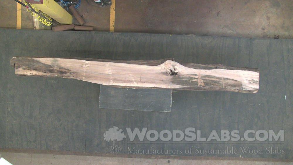 Sycamore Wood Slab #3NE-F2L-I9B9