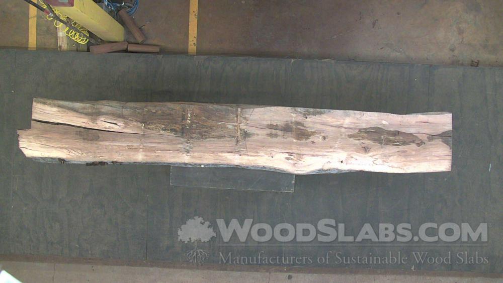 Sycamore Wood Slab #E0N-ZLZ-EE1B