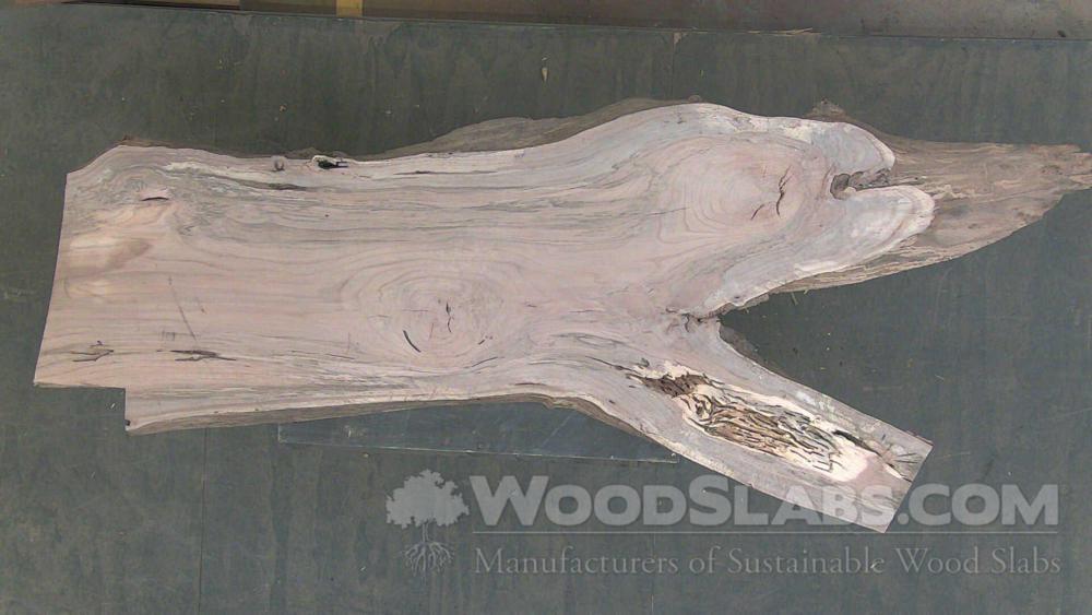 Laurel Oak Wood Slab #7H7-VJ1-5UKG