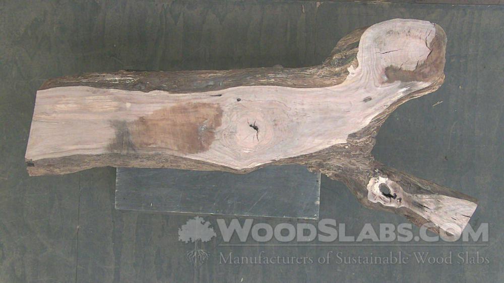 Laurel Oak Wood Slab #ZPA-18R-K659