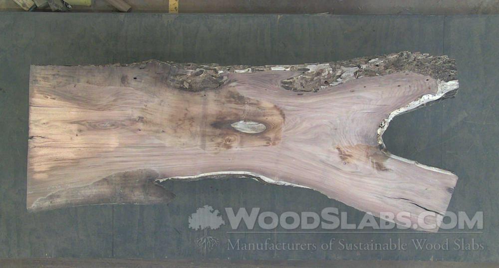 Indian Rosewood Wood Slab #TGF-0JO-94CB