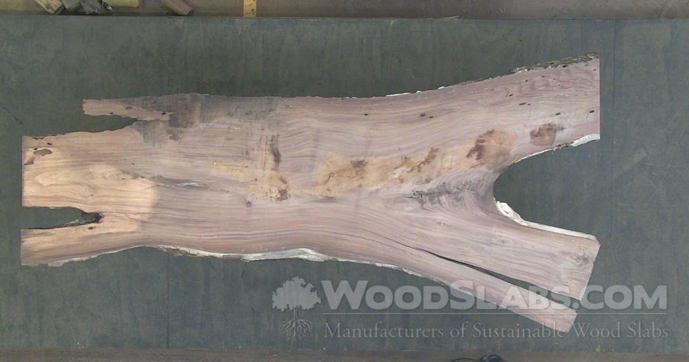 Indian Rosewood Wood Slab #FE5-E3O-EB1V