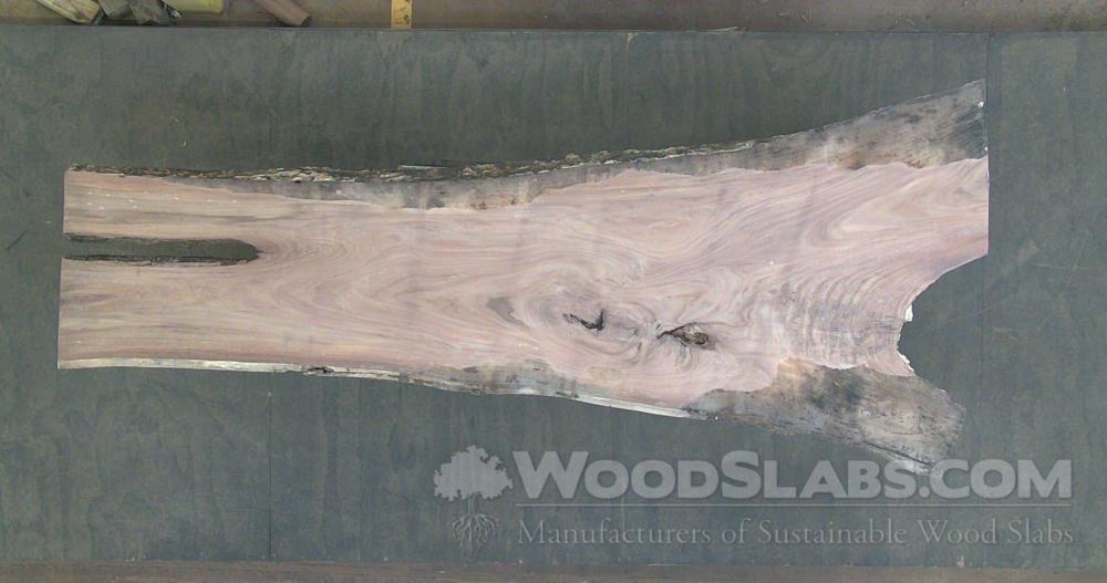 Indian Rosewood Wood Slab #JR0-1D6-GR3J