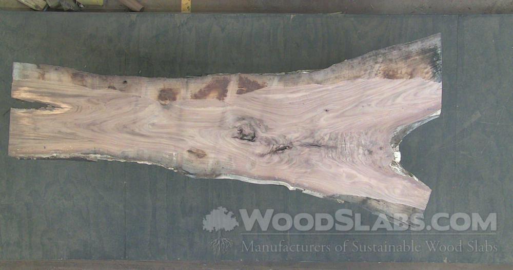 Indian Rosewood Wood Slab #4NN-FHA-U0WF