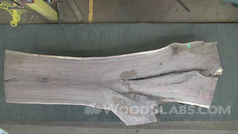 Walnut Wood Slab #Y8E-JE5-S2IQ