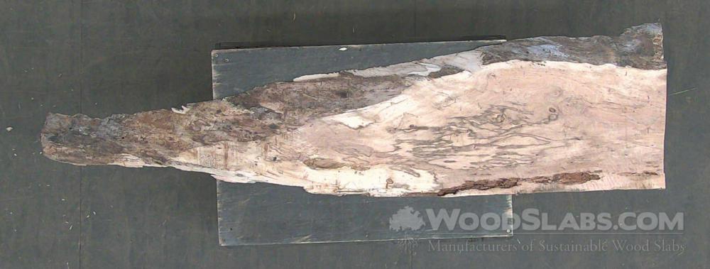 Spalted Pecan Wood Slab #OHZ-WSL-MRIY