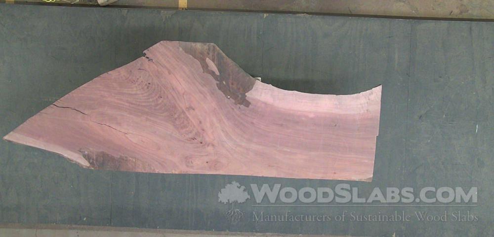 Bishop Wood Wood Slab #2O8-EDC-STRR