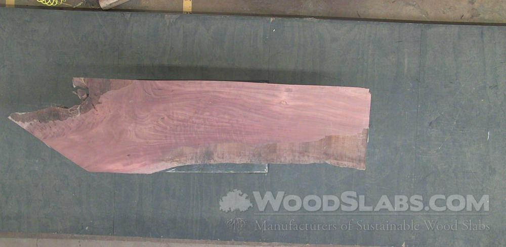 Bishop Wood Wood Slab #MEX-W13-M328