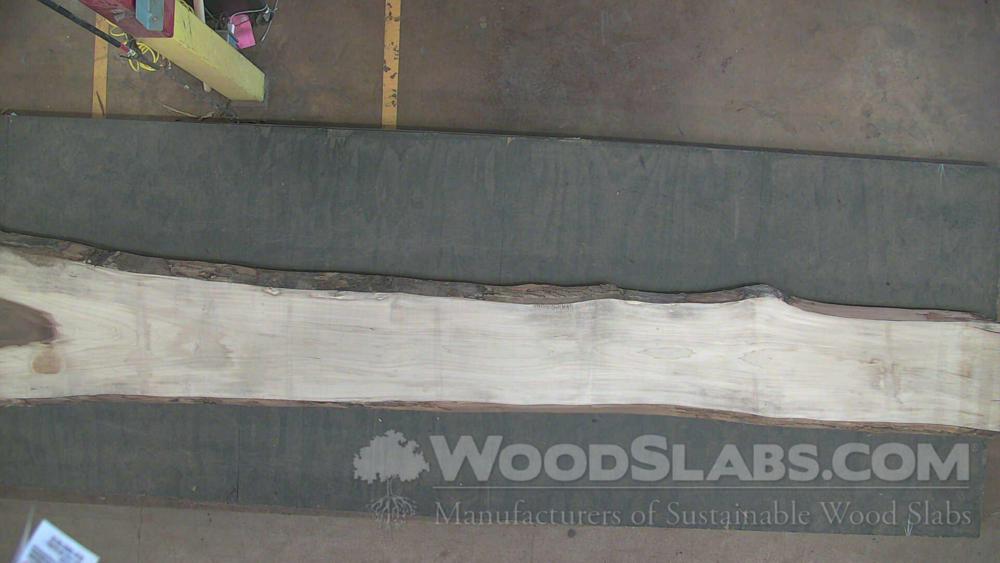 Rainbow Poplar Wood Slab #656-OI7-WODR
