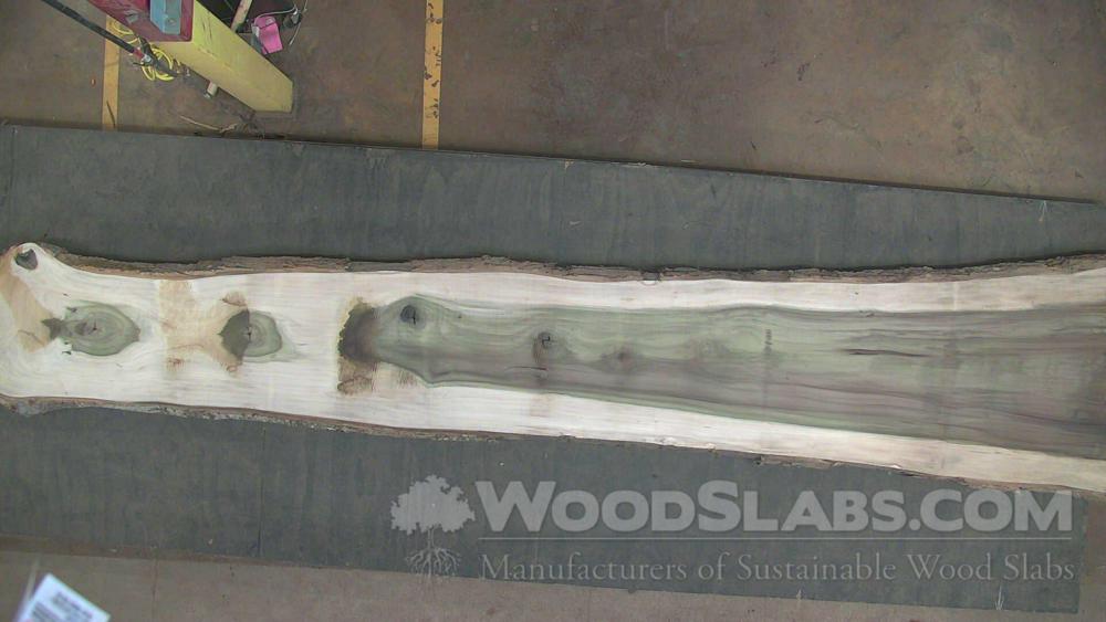 Rainbow Poplar Wood Slab #LIW-372-LBDM