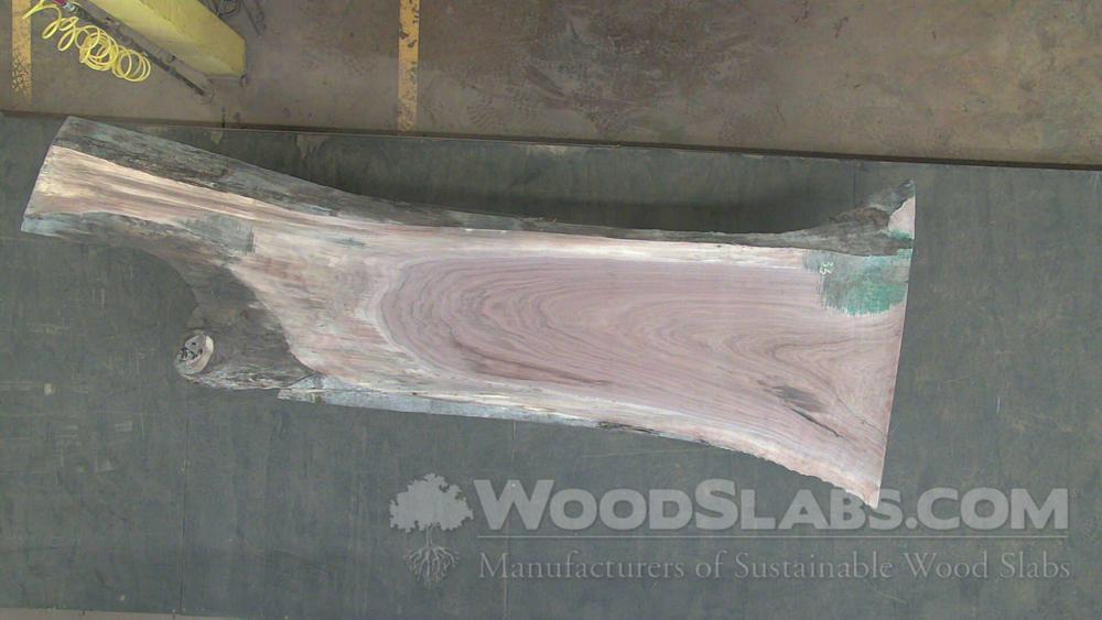 Walnut Wood Slab #NWU-FXJ-QI0I