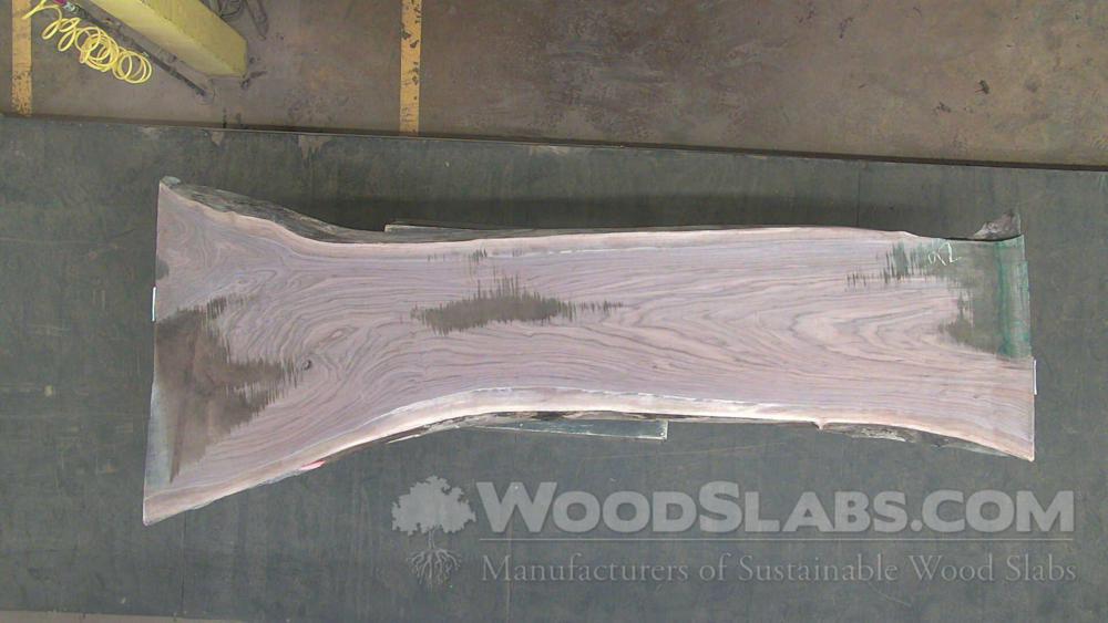 Walnut Wood Slab #6X5-JA7-6IB8