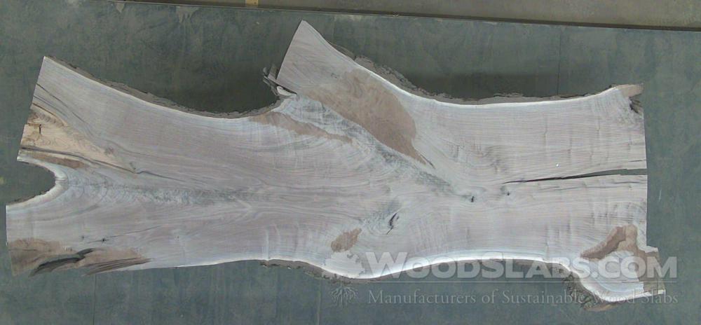 Walnut Wood Slab #VTS-UE2-RIGI