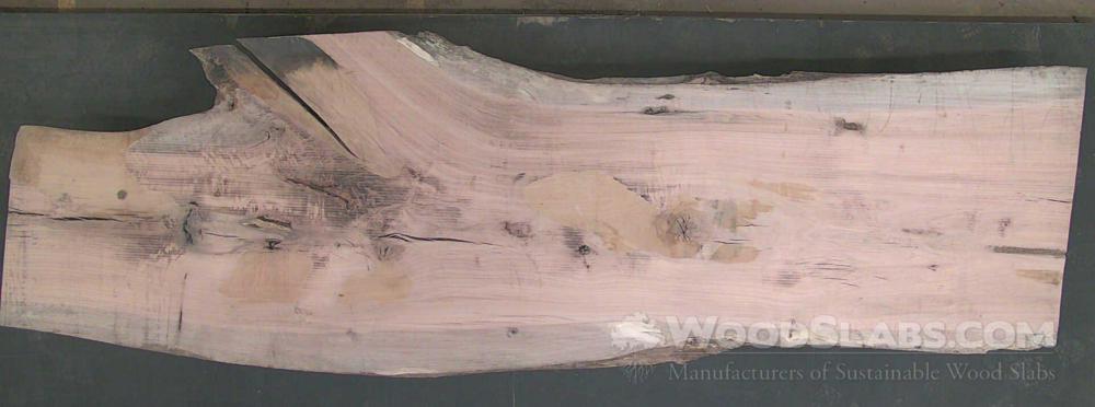 Laurel Oak Wood Slab #ZBQ-AV2-9U4X